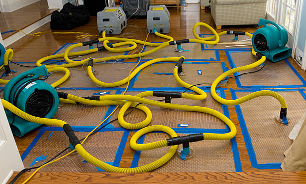 Professional Basement Flood Cleanup technician working in Olivehill, TN
